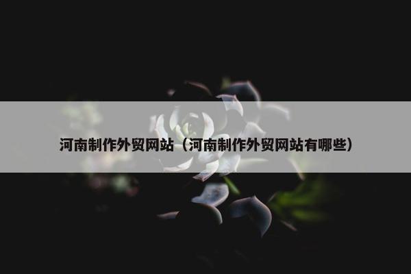 河南制作外贸网站（河南制作外贸网站有哪些）