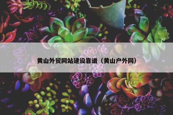 黄山外贸网站建设靠谱（黄山户外网）