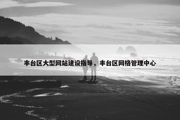 丰台区大型网站建设指导，丰台区网格管理中心