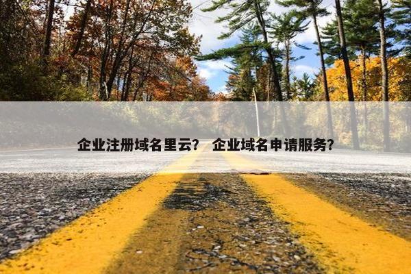 企业注册域名里云？ 企业域名申请服务？