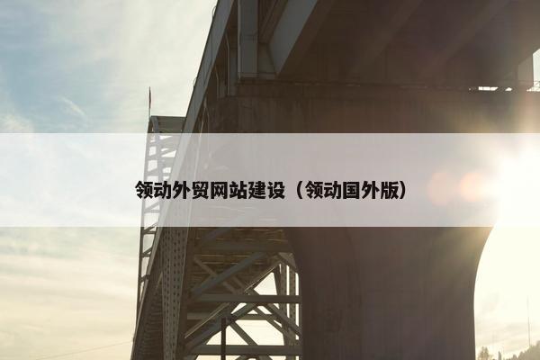 领动外贸网站建设（领动国外版）