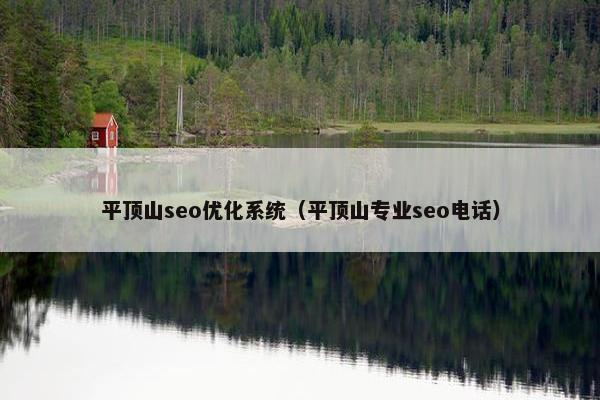 平顶山seo优化系统（平顶山专业seo电话）