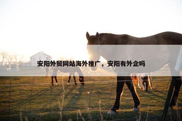 安阳外贸网站海外推广，安阳有外企吗