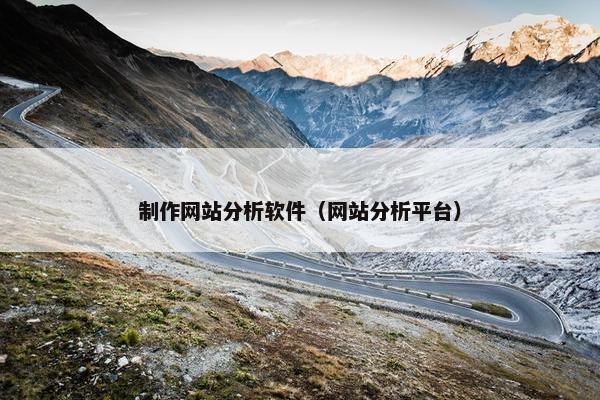制作网站分析软件（网站分析平台）