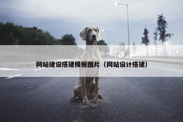 网站建设搭建模板图片（网站设计搭建）