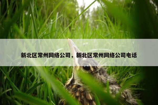 新北区常州网络公司，新北区常州网络公司电话