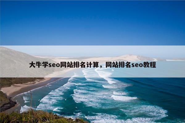 大牛学seo网站排名计算，网站排名seo教程