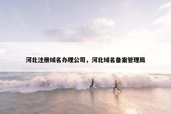 河北注册域名办理公司，河北域名备案管理局