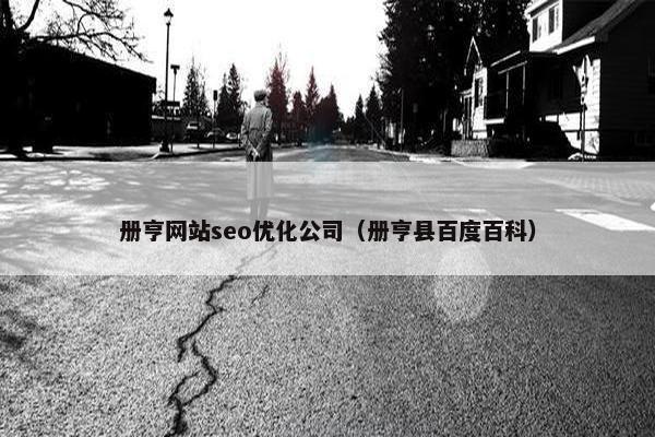册亨网站seo优化公司（册亨县百度百科）