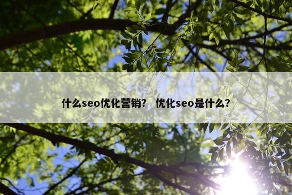 什么seo优化营销？ 优化seo是什么？