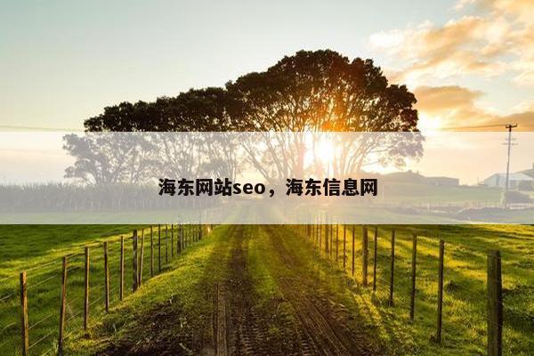 海东网站seo，海东信息网