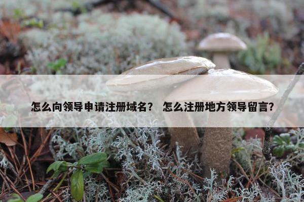 怎么向领导申请注册域名？ 怎么注册地方领导留言？