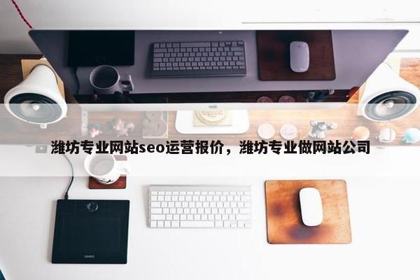 潍坊专业网站seo运营报价，潍坊专业做网站公司