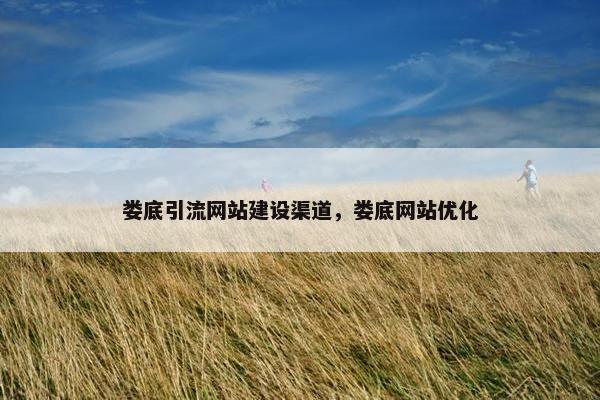娄底引流网站建设渠道，娄底网站优化