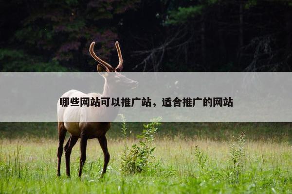 哪些网站可以推广站，适合推广的网站