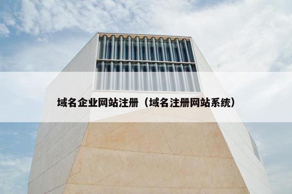 域名企业网站注册（域名注册网站系统）