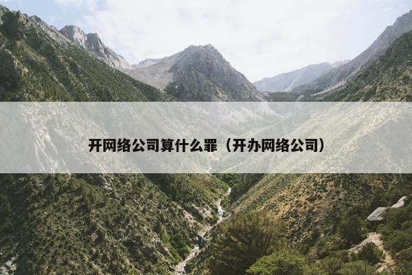 开网络公司算什么罪（开办网络公司）