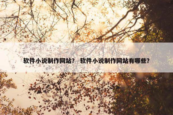 软件小说制作网站？ 软件小说制作网站有哪些？