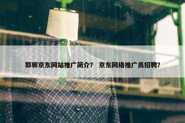 邯郸京东网站推广简介？ 京东网络推广员招聘？