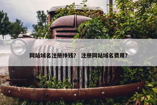 网站域名注册挣钱？ 注册网站域名费用？