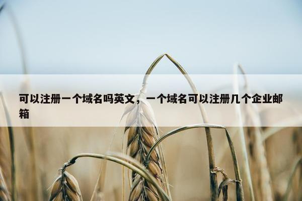 可以注册一个域名吗英文，一个域名可以注册几个企业邮箱