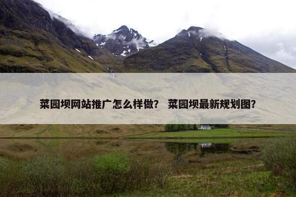 菜园坝网站推广怎么样做？ 菜园坝最新规划图？