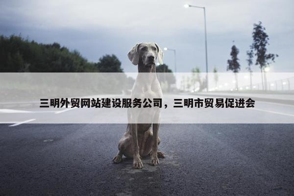 三明外贸网站建设服务公司，三明市贸易促进会