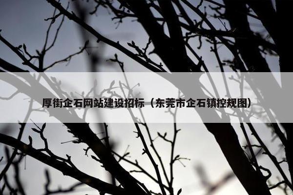 厚街企石网站建设招标（东莞市企石镇控规图）