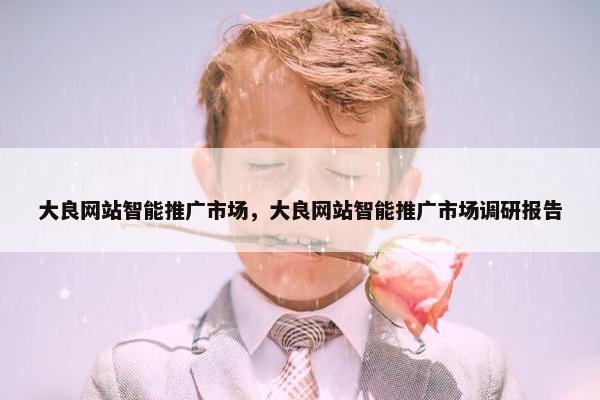大良网站智能推广市场，大良网站智能推广市场调研报告