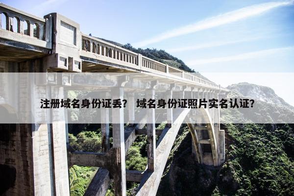 注册域名身份证丢？ 域名身份证照片实名认证？