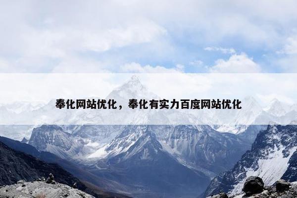 奉化网站优化，奉化有实力百度网站优化