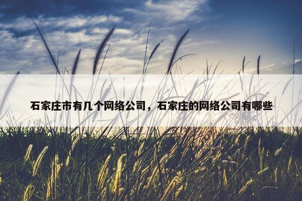 石家庄市有几个网络公司，石家庄的网络公司有哪些