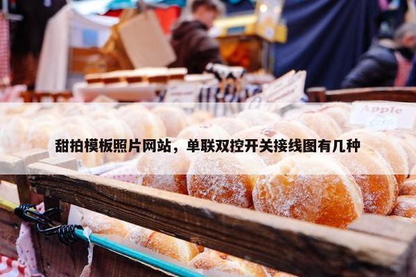 甜拍模板照片网站，单联双控开关接线图有几种