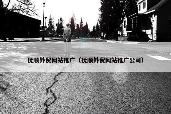 抚顺外贸网站推广（抚顺外贸网站推广公司）