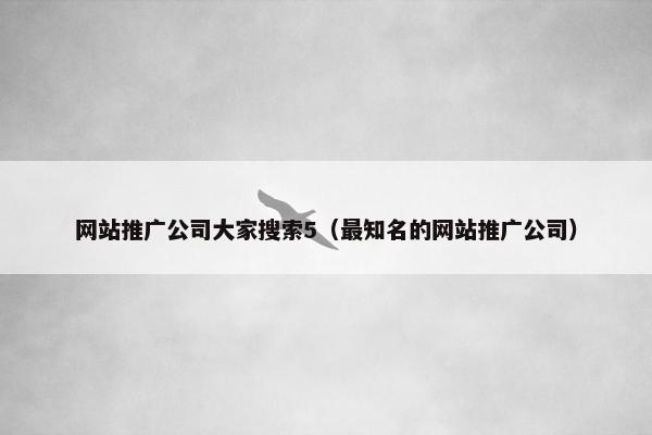 网站推广公司大家搜索5（最知名的网站推广公司）