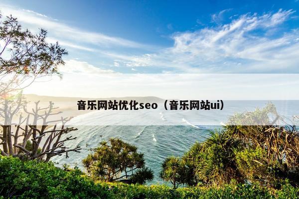 音乐网站优化seo（音乐网站ui）