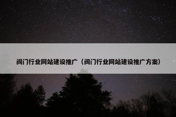 阀门行业网站建设推广（阀门行业网站建设推广方案）