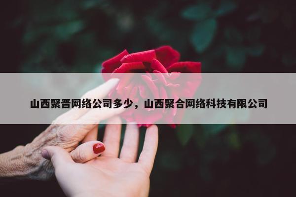 山西聚晋网络公司多少，山西聚合网络科技有限公司