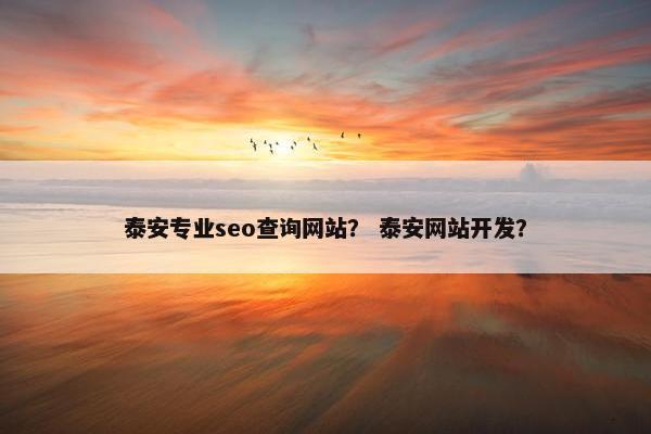 泰安专业seo查询网站？ 泰安网站开发？