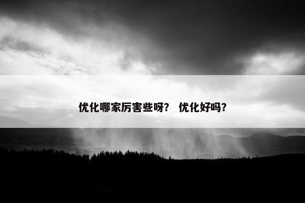 优化哪家厉害些呀？ 优化好吗？
