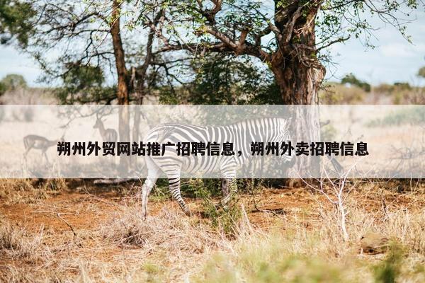 朔州外贸网站推广招聘信息，朔州外卖招聘信息