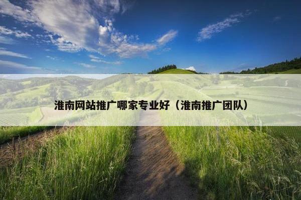 淮南网站推广哪家专业好（淮南推广团队）