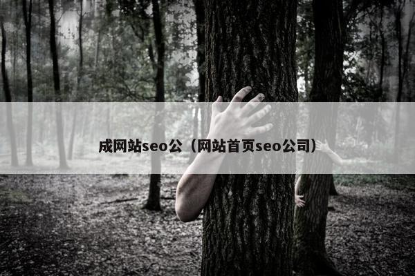 成网站seo公（网站首页seo公司）