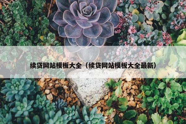 续贷网站模板大全（续贷网站模板大全最新）