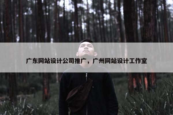 广东网站设计公司推广，广州网站设计工作室