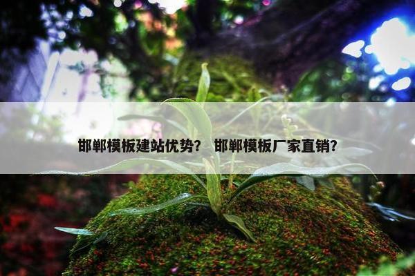 邯郸模板建站优势？ 邯郸模板厂家直销？