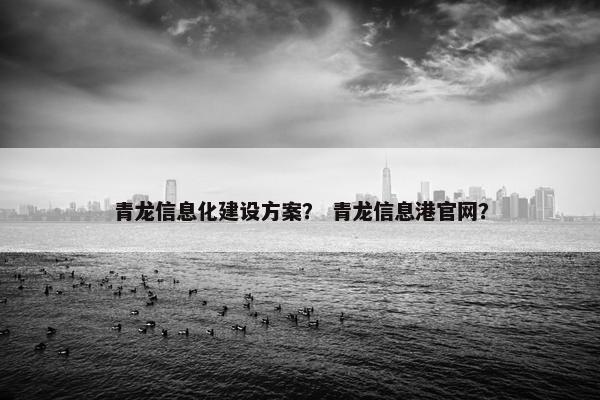 青龙信息化建设方案？ 青龙信息港官网？