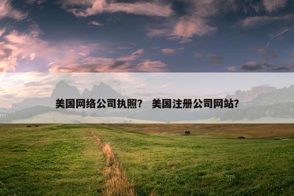 美国网络公司执照？ 美国注册公司网站？