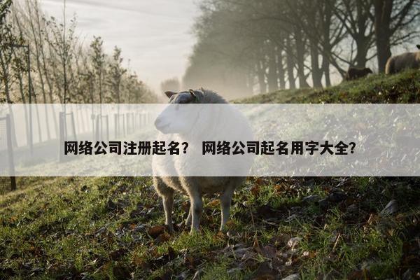 网络公司注册起名？ 网络公司起名用字大全？