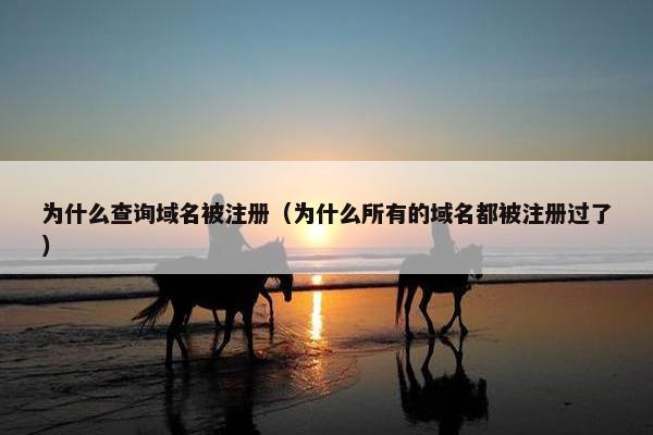 为什么查询域名被注册（为什么所有的域名都被注册过了）